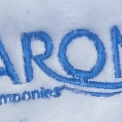 Logo Printed Christmas and Party Hats (Imported) from BMPM®