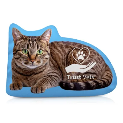 Rectangle (12cm x 7cm) Mock Suede Polyester Fabric (Hand Cut to Shape)