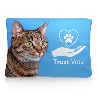 Rectangle (12cm x 7cm) Mock Suede Polyester Fabric