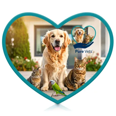 Heart (Rubberised) 9.5cm Polyester / Rubber