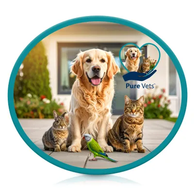 Oval (Rubberised) 5cm Polyester / Rubber