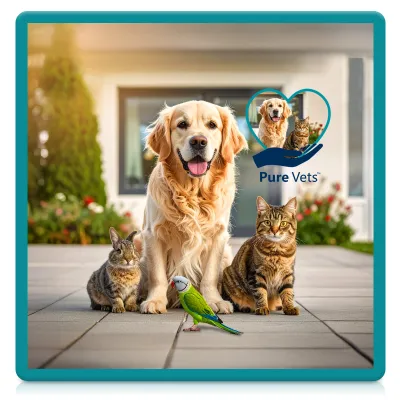 Square (Rubberised) 9.5cm Polyester / Rubber