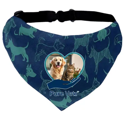 Large (24cm x 14cm) Polyester with Standard Buckle