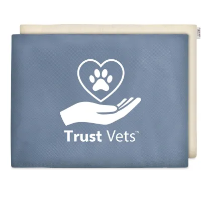 (40cm x 30cm) - Gothic Blue Luxury Cotton Fabric (Unscented) and Removable Cover