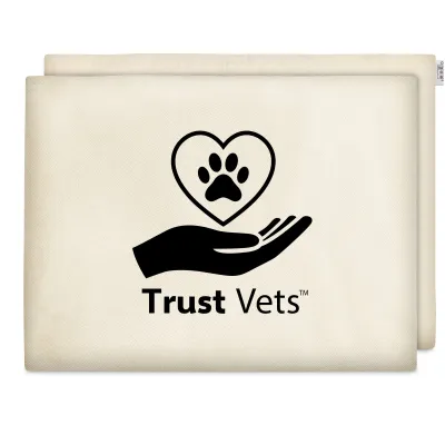 (40cm x 30cm) - Natural Cotton Fabric Scented with Organic Lavender and Removable Cover