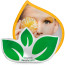 Branded Cushions Cut to Shape (Full Colour) from BMPM®
