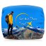 Branded Bus &amp; Coach Headrest Covers from BMPM®